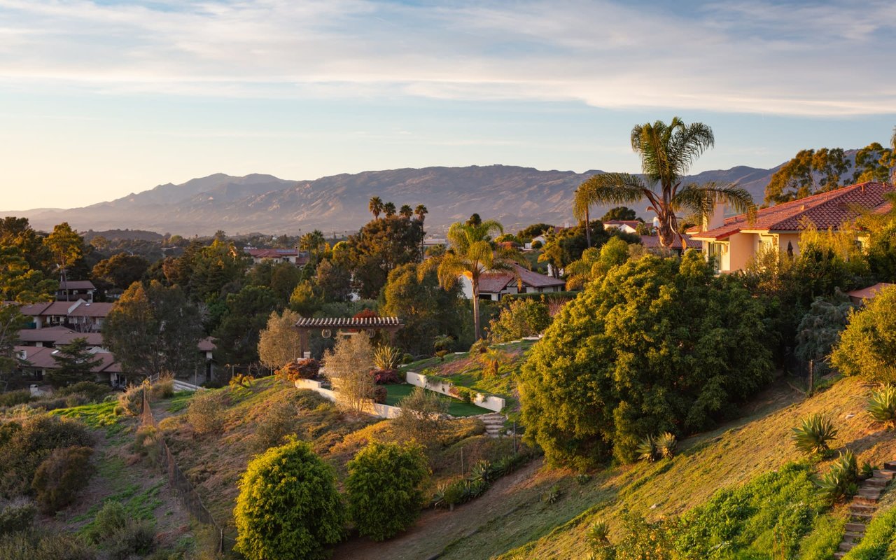 Hollywood Hills