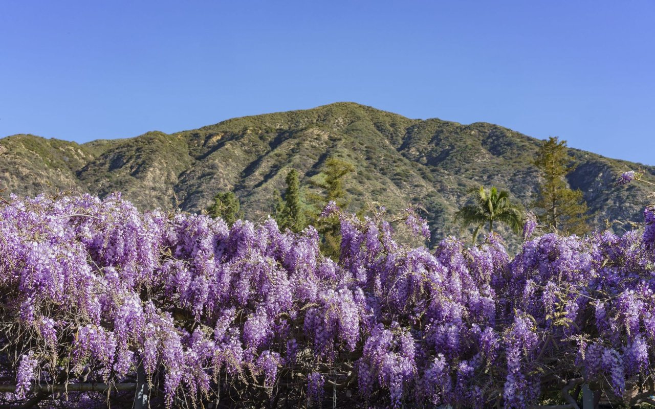 Sierra Madre