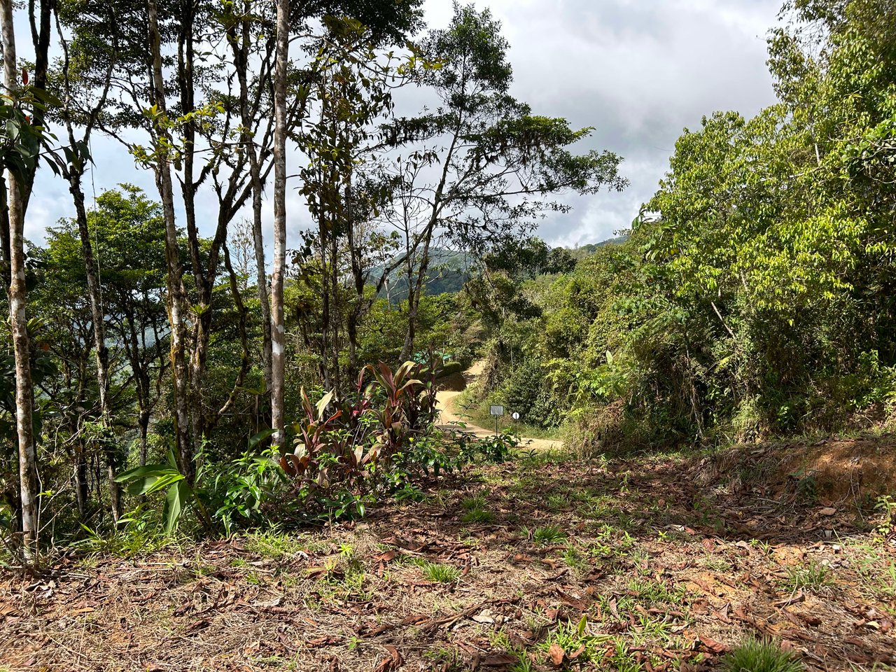 Whale Tail, Ocean & Mountain View lot in San Luis.