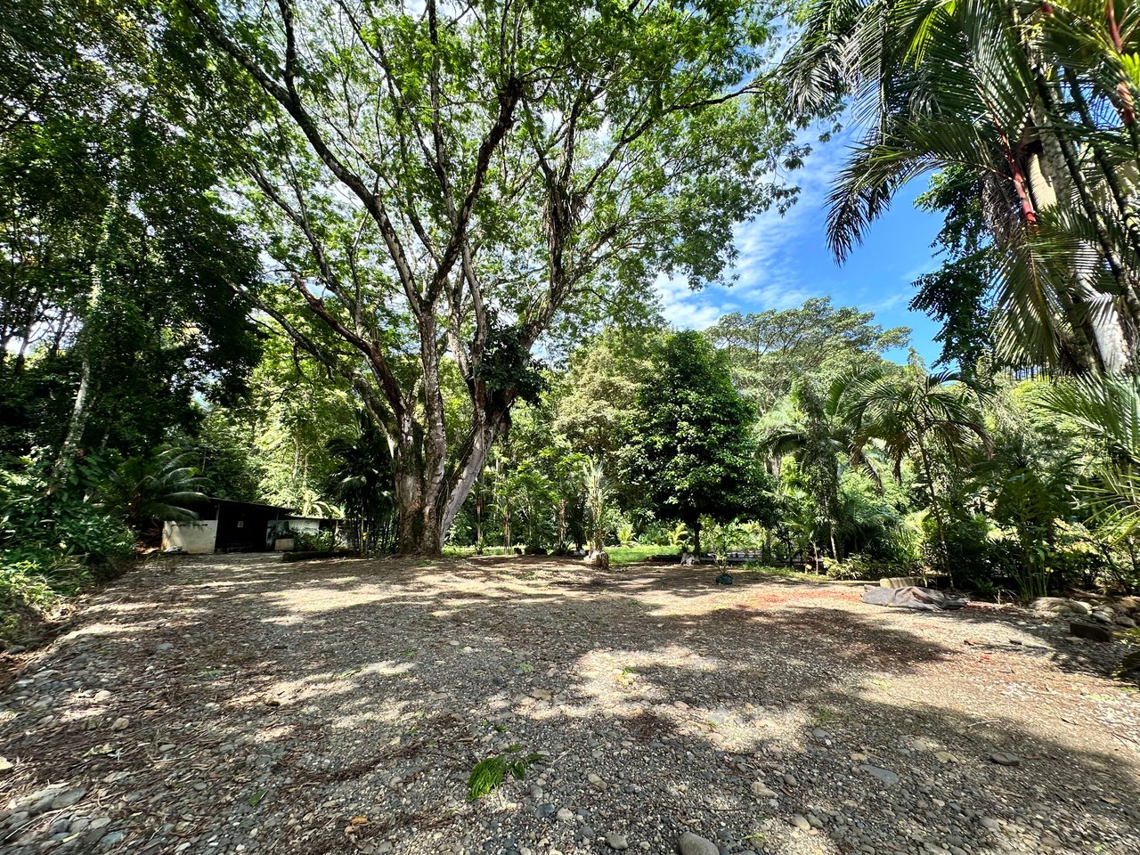 "Commercial Gem at Ojochal"