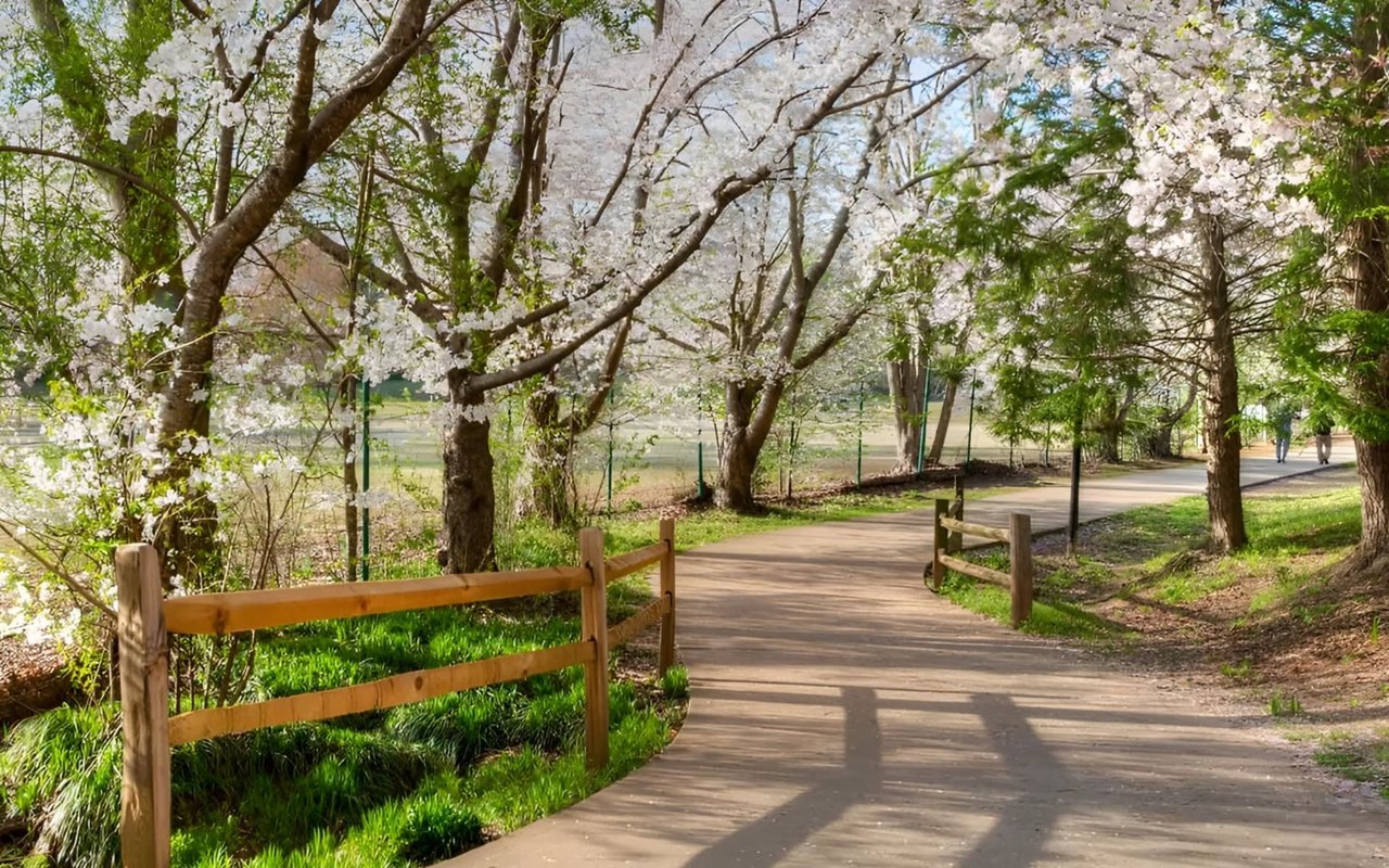 Things to Do in Buckhead, ATL