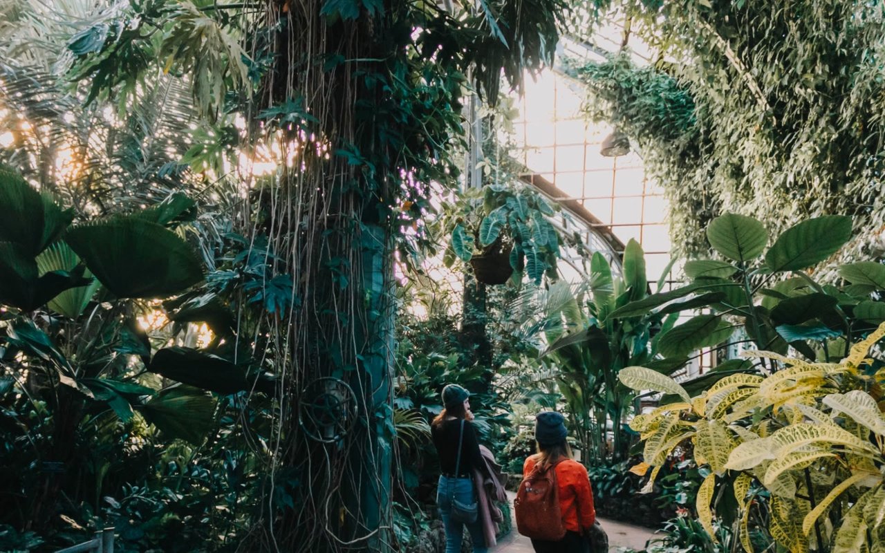 Exploring the Charm of the North Shore Suburbs