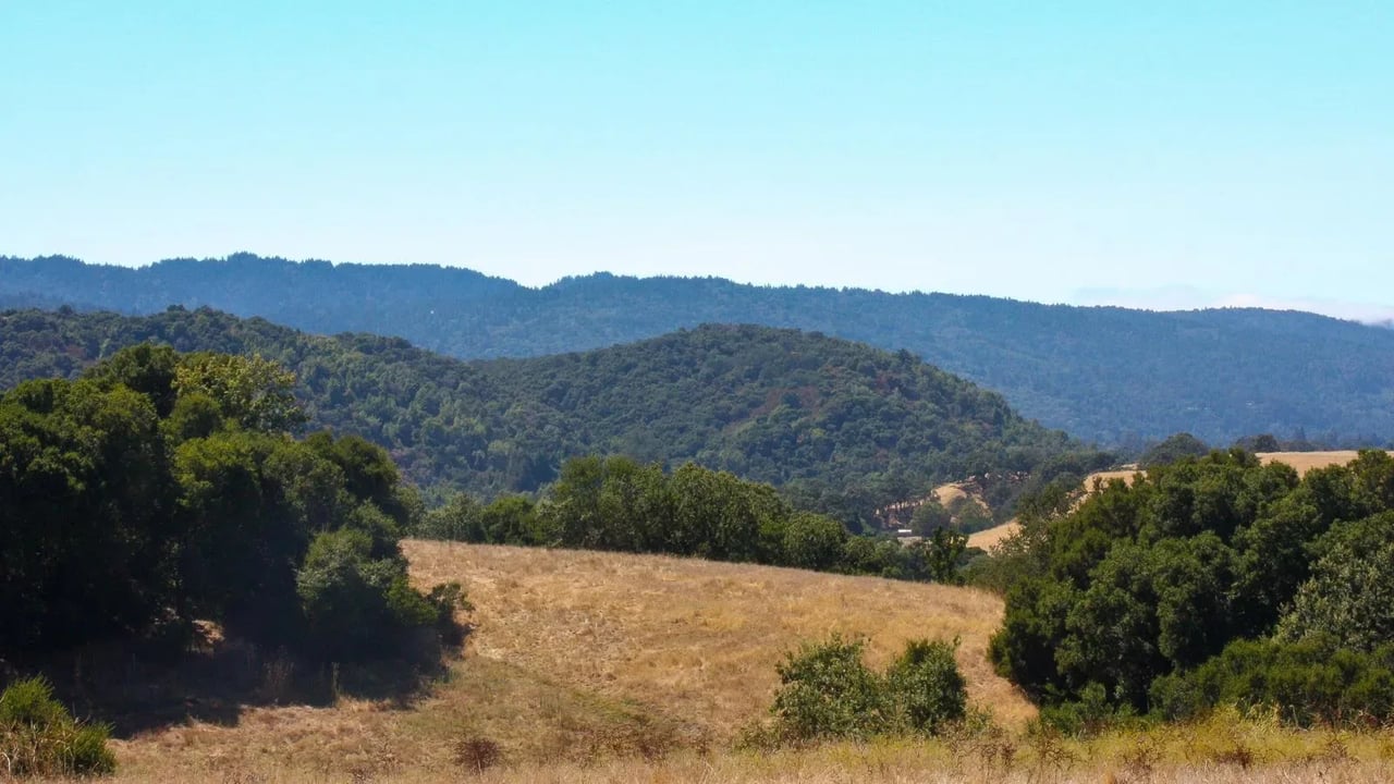 Portola Valley