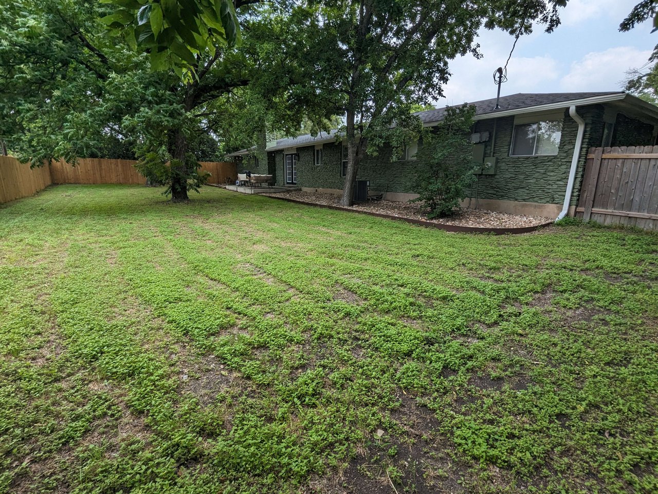 Dog friendly mid-century 1-story home near Domain