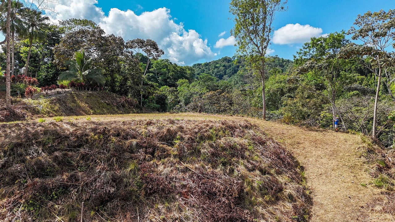 An elevated 1.2 acres lot with two plantels, panoramic mountain and jungle views.