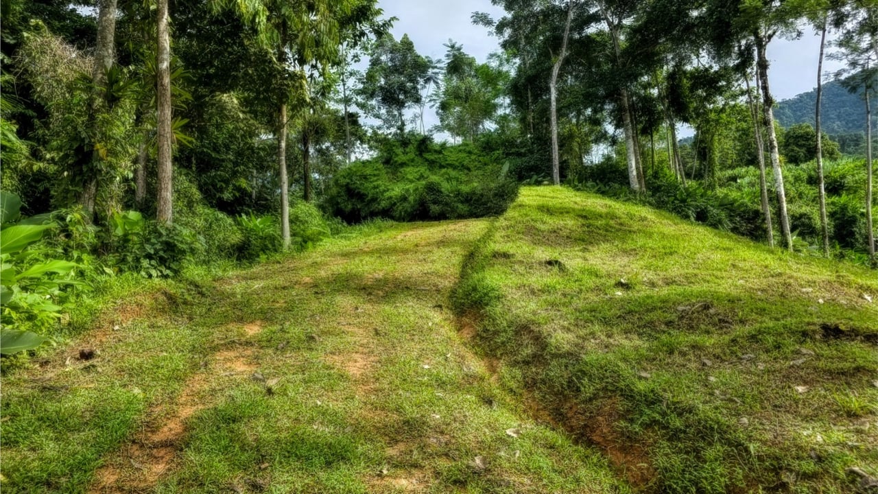 Rainforest Waterfall Acreage Estate, Dominical, Puntarenas