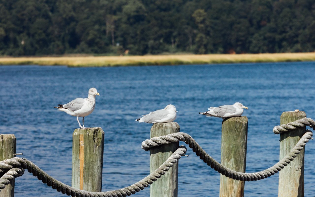 Ocean Township