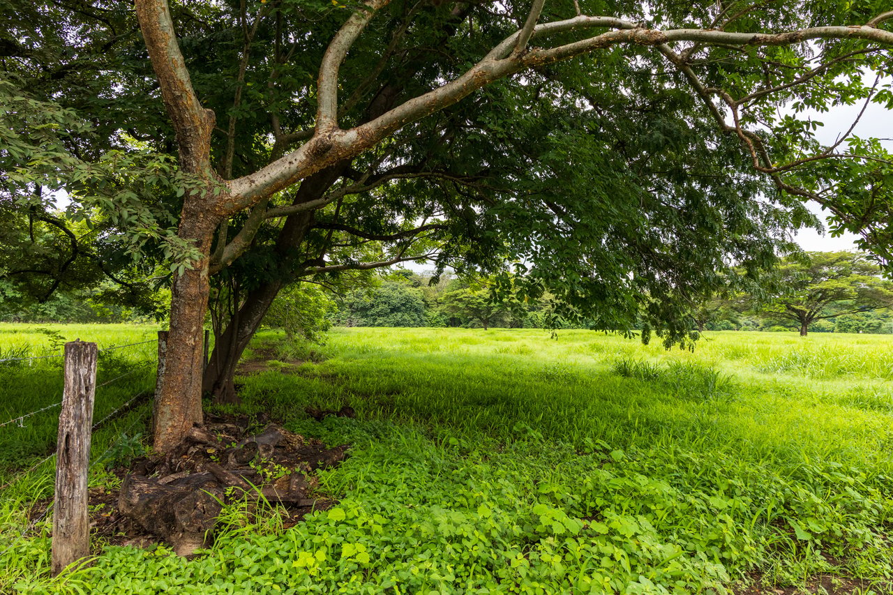 Expansive Fertile Mountain Ranch, Flamingo, Guanacaste
