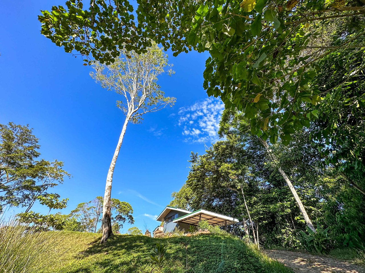 A 1-bedroom loft PERFECT for a couple or an Airbnb rental – plus a HUGE jungle backyard with a year-round river and many magical swimming holes – and a lot of flat land for further development!