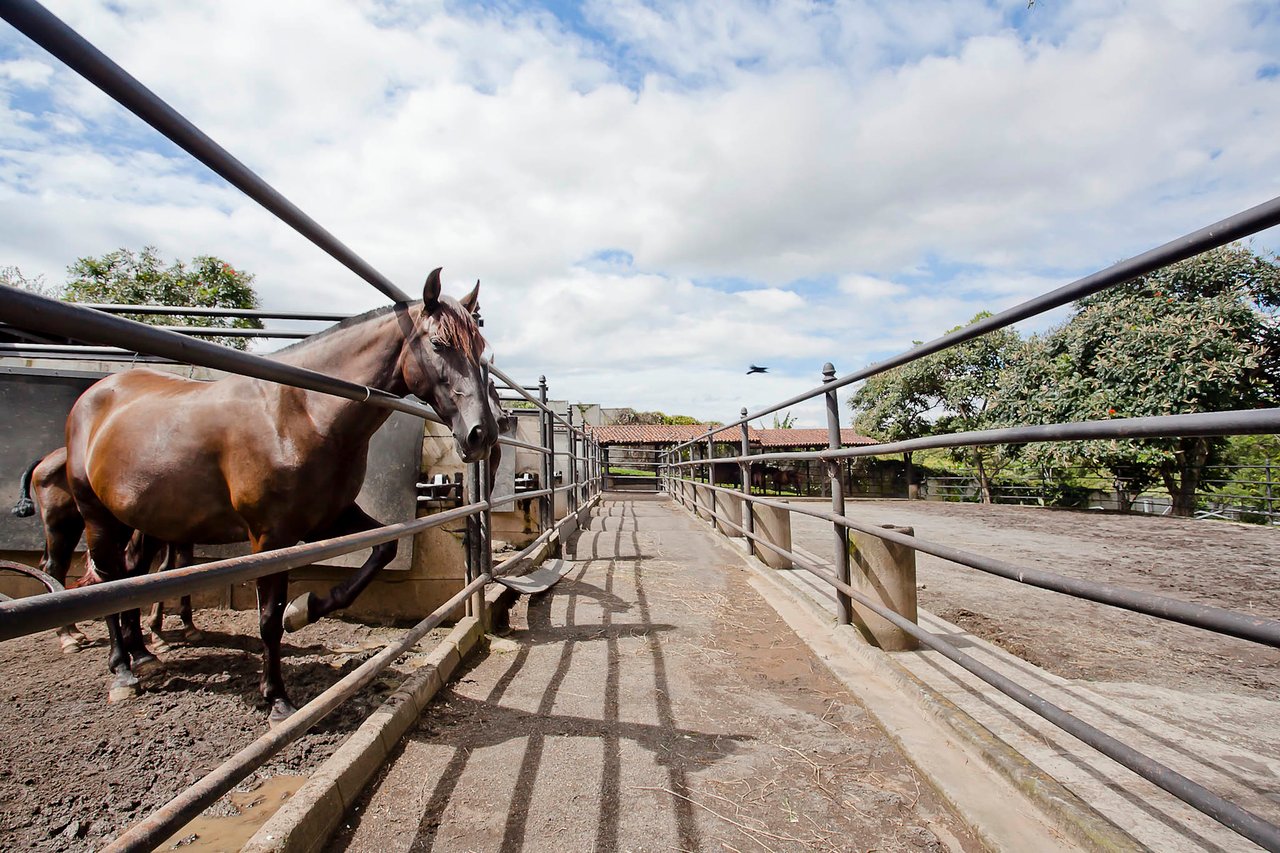Colonial Equestrian Golf Estate, Heredia
