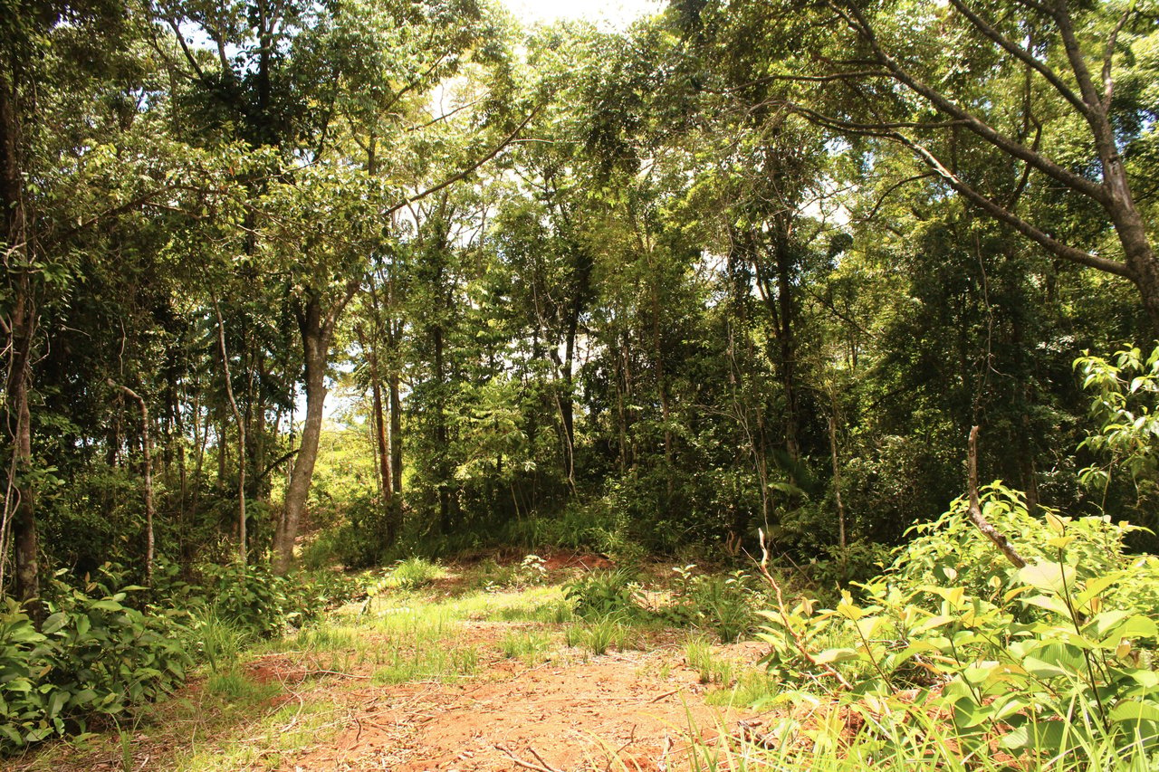 Wildlife Reserve Farm close to Ojochal