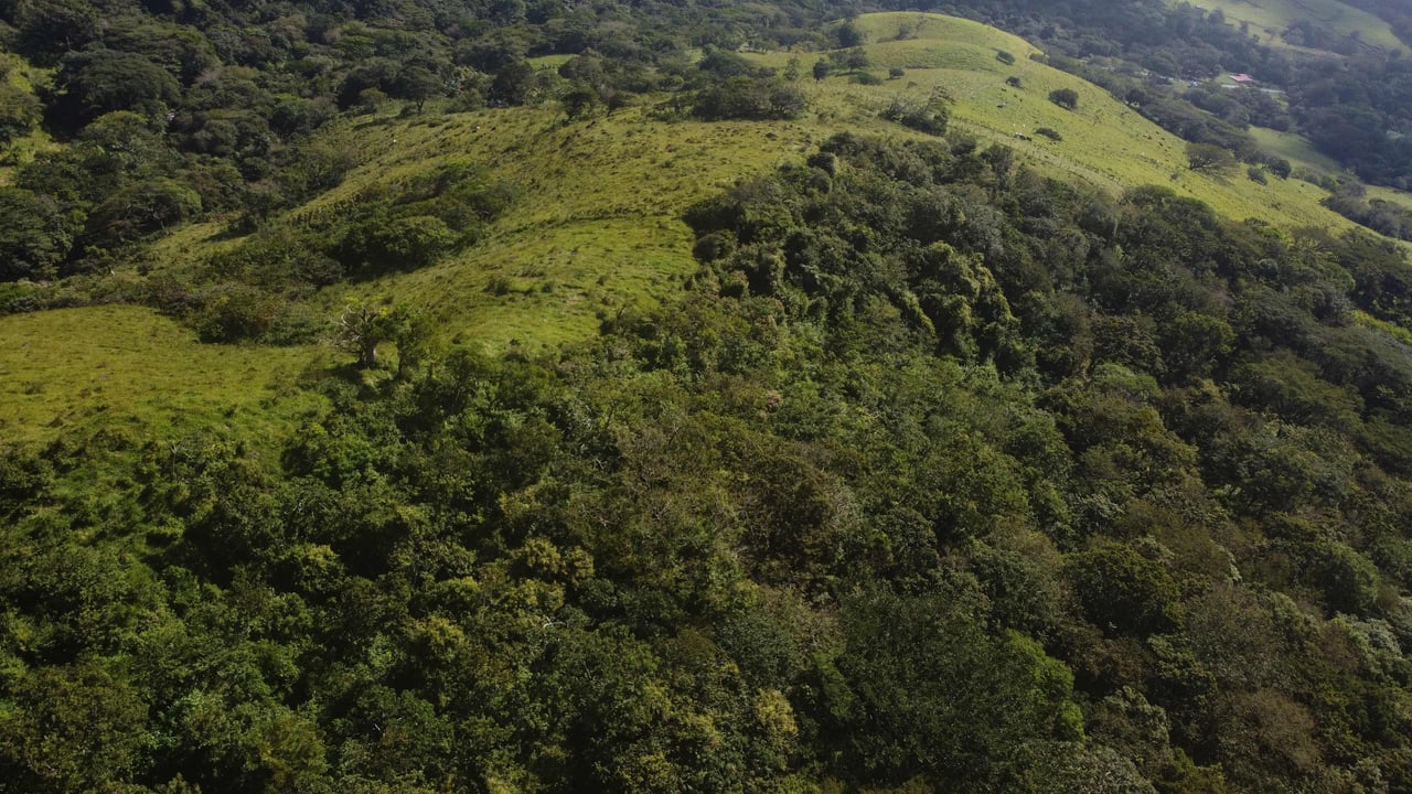 Rio Chiquito Farm | This farm offers an expansive canvas to bring your dreams to life in the majestic Guanacaste mountain rainforest region.