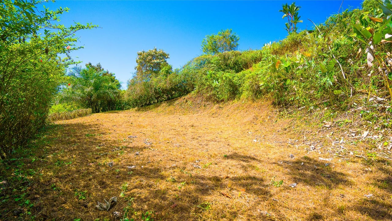 Forest View Build Ready Lot, Ojochal, Puntarenas