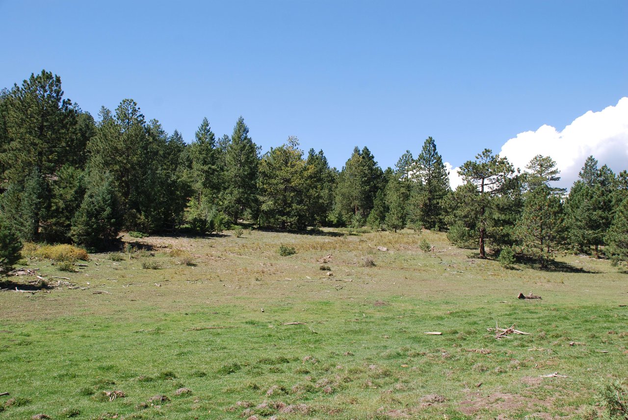 Elk Mountain Ranch