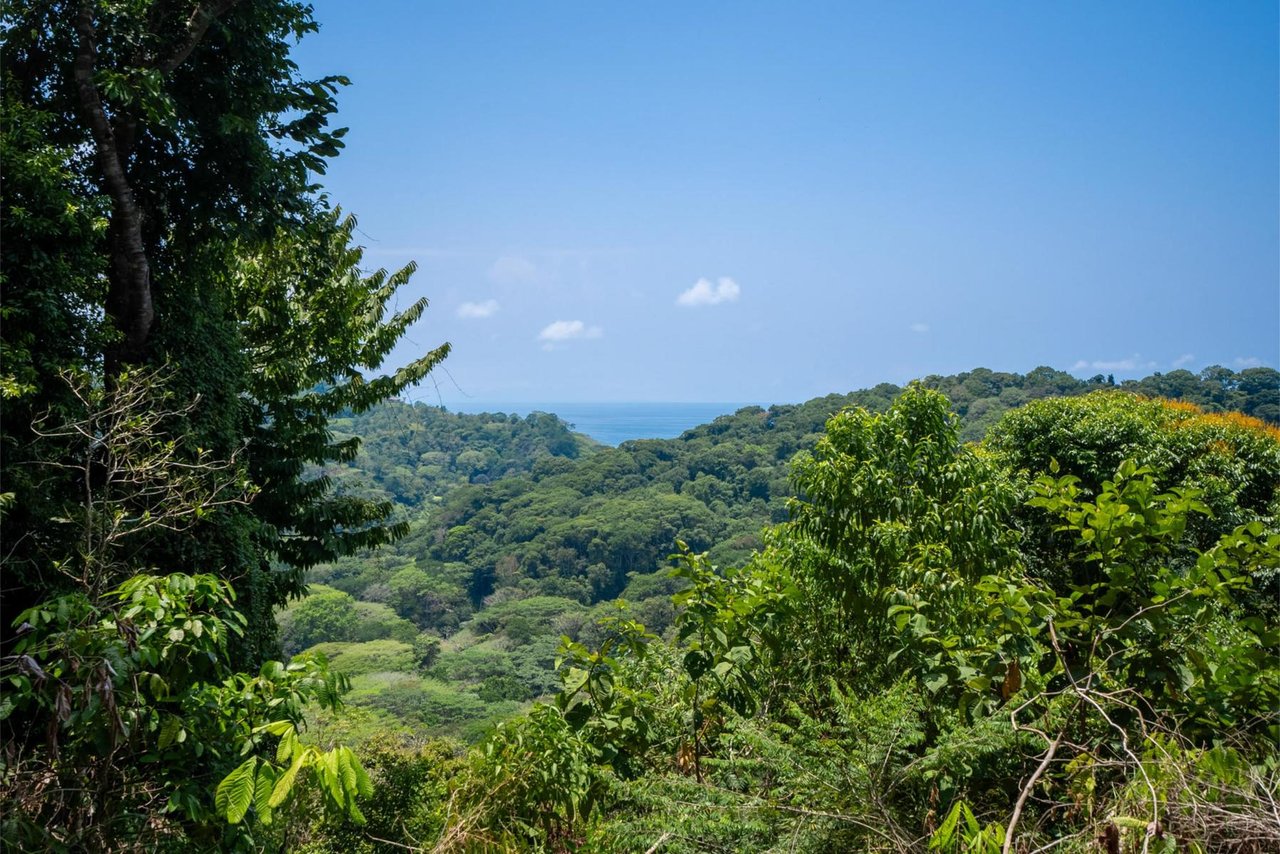Private Ocean View Development Lot, Dominical, Puntarenas