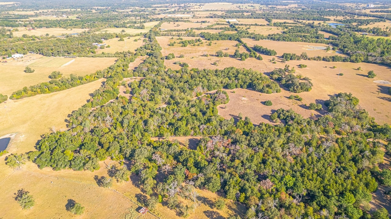 59.59 Acres in Brazos Valley region