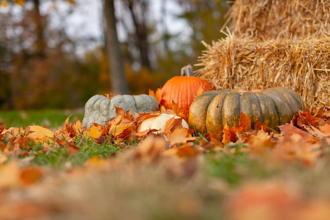 Happy October to you!