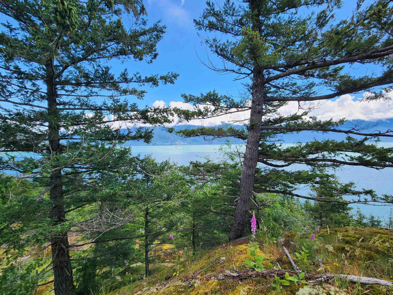 LOT 4 Brigade Bay