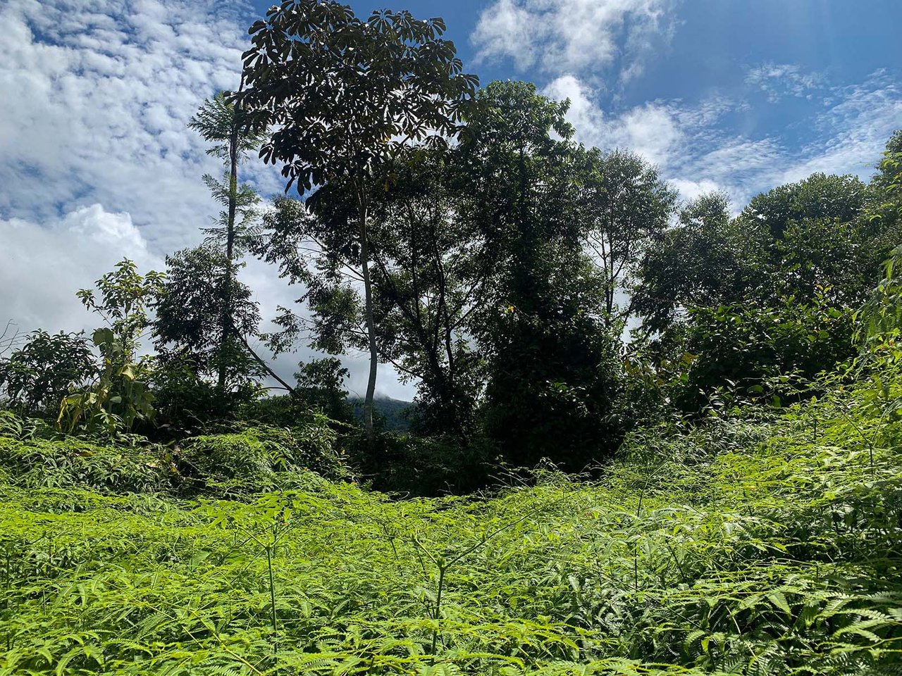 Farm In Chontales, 47 Acres With Ocean View And River
