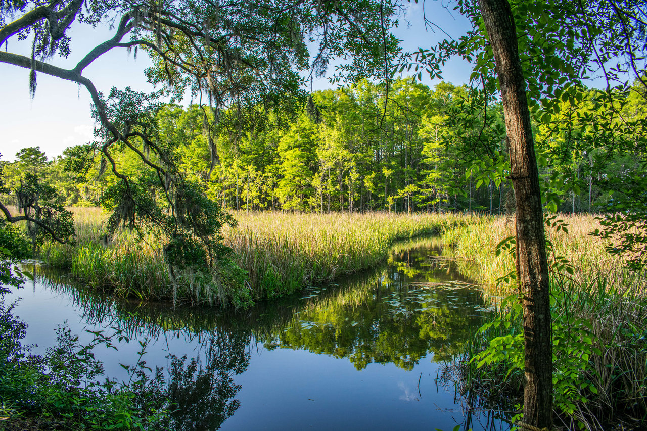 Hagley Estates | HOA Free Community in Pawleys Island, SC