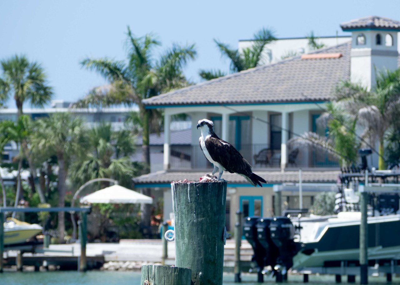 Discover the Pinnacle of Luxury Living: Waterfront Properties in Naples, FL