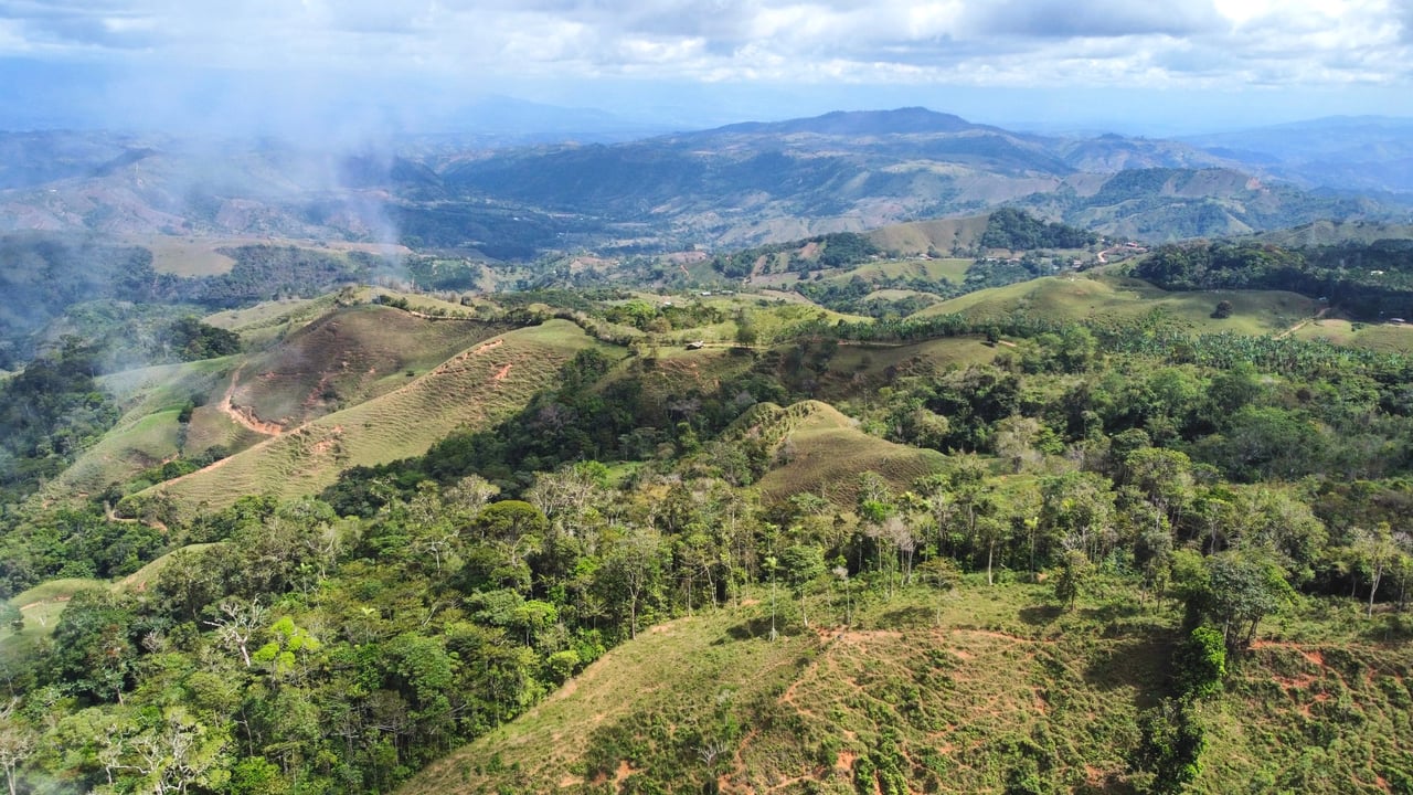 OVER 14 ACRES FARM IN ALTO DE GUADALUPE