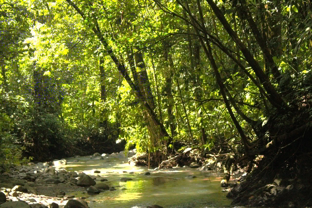 River Frontage Lot close to Uvita