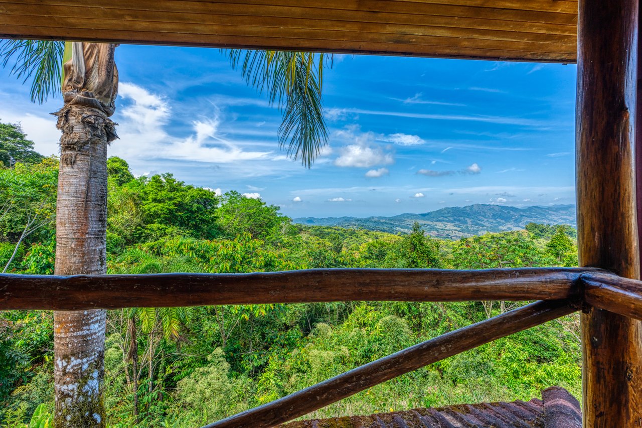 Mountain View Cabin With Pool, Perez Zeledon, San Jose