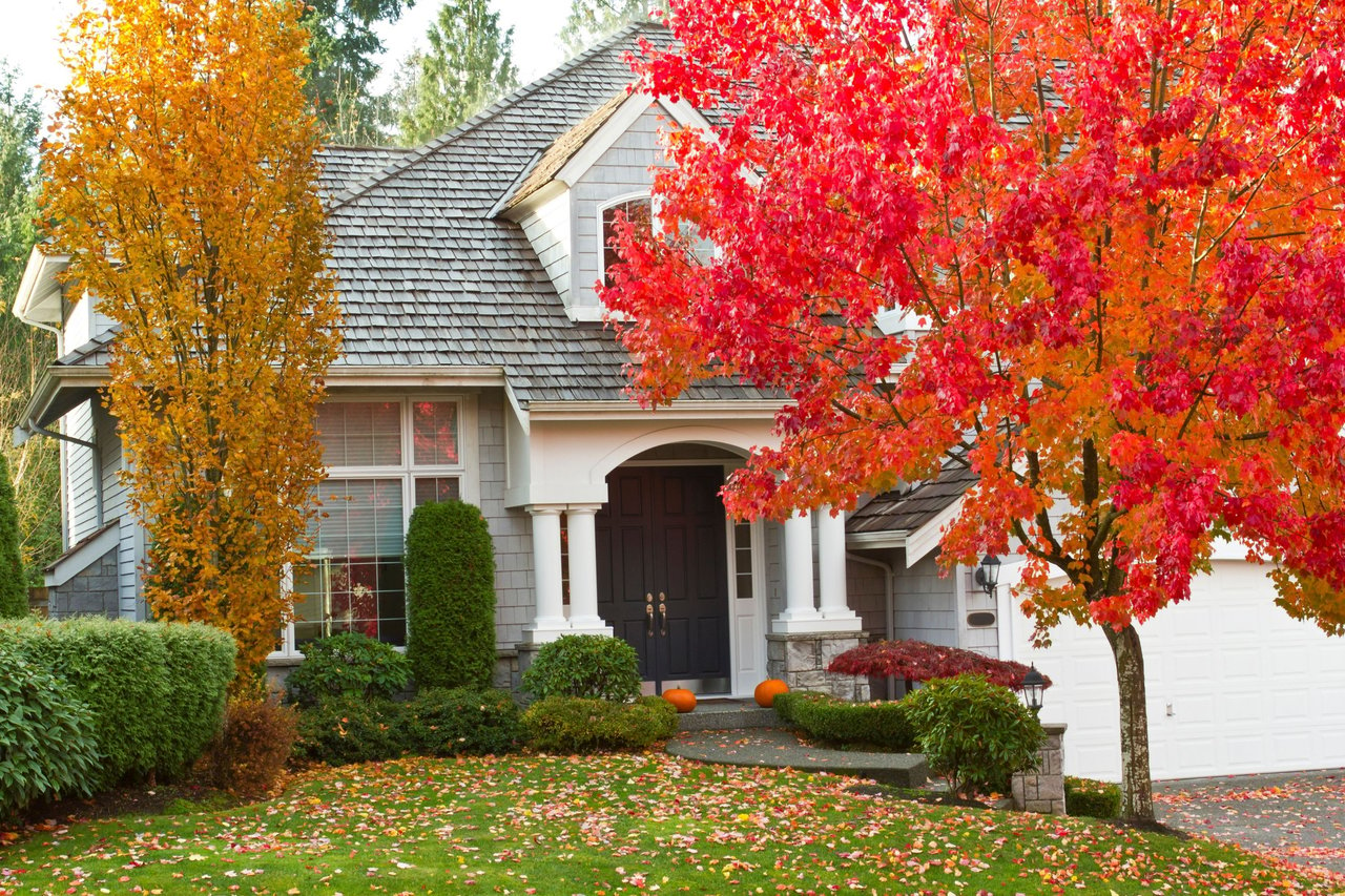 Ep #39: Fall Planting with Myles Brown, Manager of Perennial Gardens in Bedford