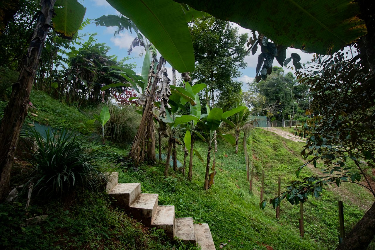 Mountain Home with Guest Cabin, Dominical, Puntarenas
