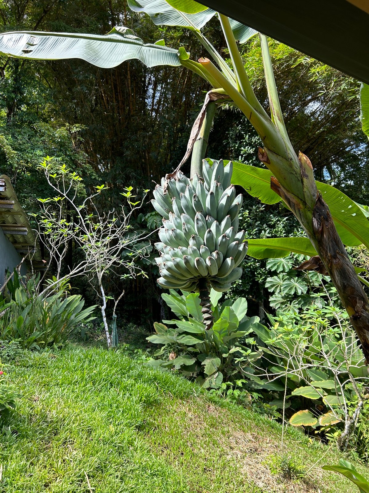 Waterfall View Cabin Estate, Perez Zeledon, San Jose