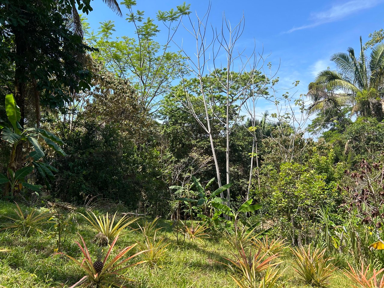 Great Location Land Parcel in Playa Hermosa