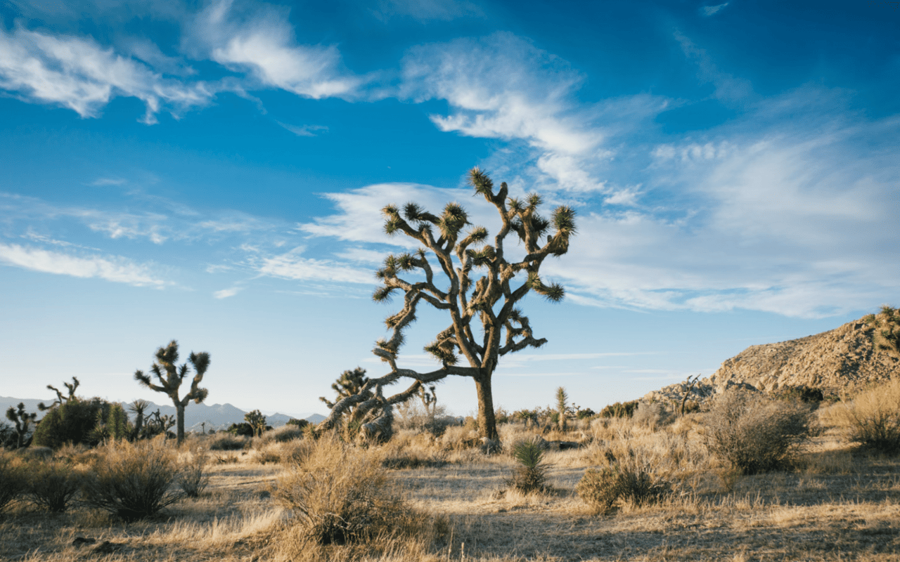 Group Experiences in Palm Springs, CA