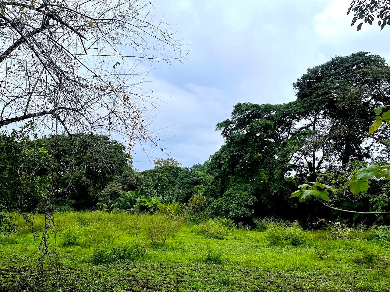 Titled Land Steps from the Beach, Uvita, Puntarenas