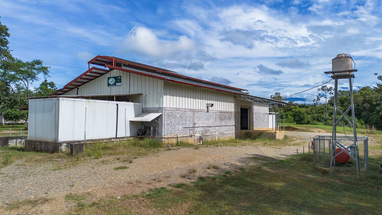 Industrial Plant for Sale in Pérez Zeledón, Costa Rica | 