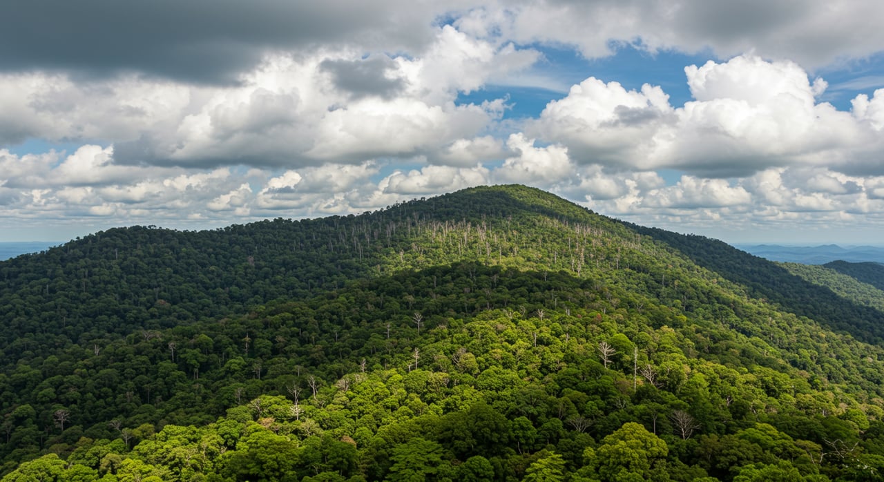 Great Smoky Mountains National Park: NC’s Own UNESCO World Heritage Site