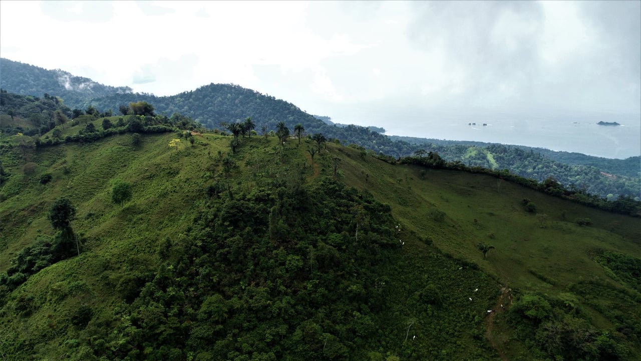 Ocean View Development Farms, Uvita, Puntarenas
