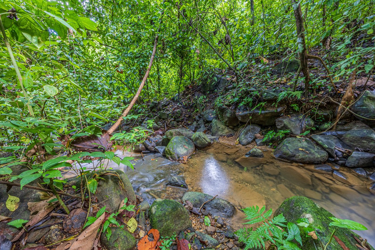  Ocean View Home on 5 acres with Stream