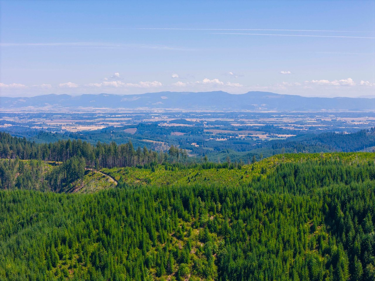 High Pass Tree Farm