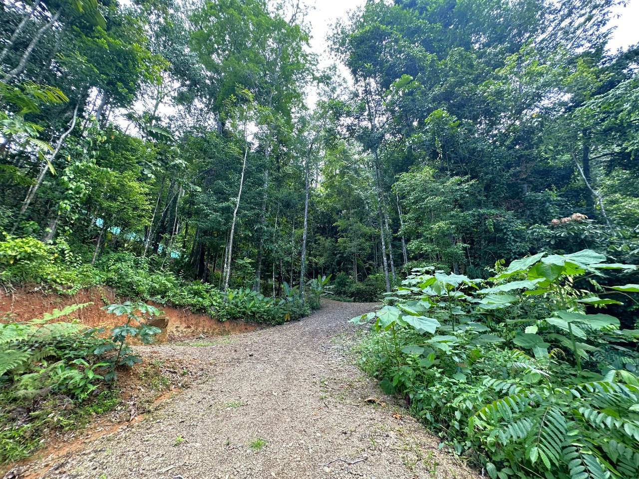 5.77 Acres With 4 Building Sites. Ocean Views, Rivers And Rainforest Abound In Cinco Ventanas! Ojochal 