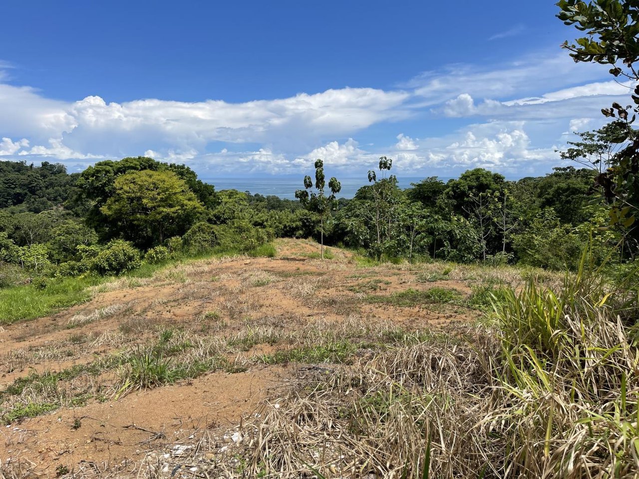 15.9 ACRES – Ocean View Development Property With Legal Water, Public Road, 5 Min From Highway!