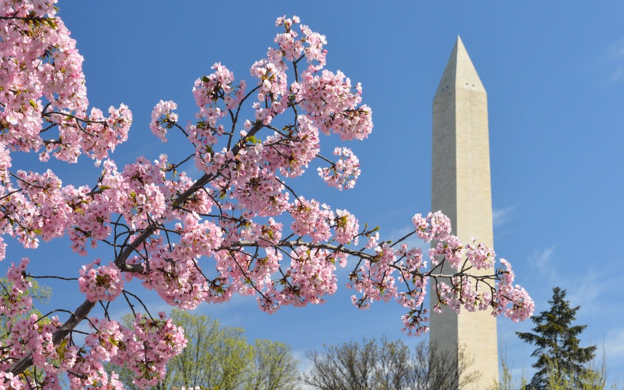 Kenwood: Luxury Living in Chevy Chase, Maryland