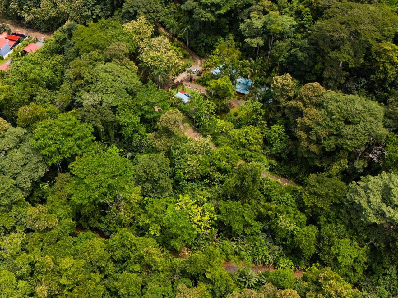 Prime Highway Commercial Lot, Uvita, Puntarenas