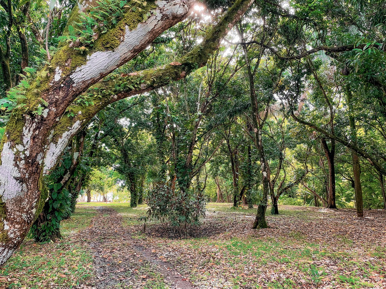 Prime Beachfront Development Land, Santa Teresa, Puntarenas