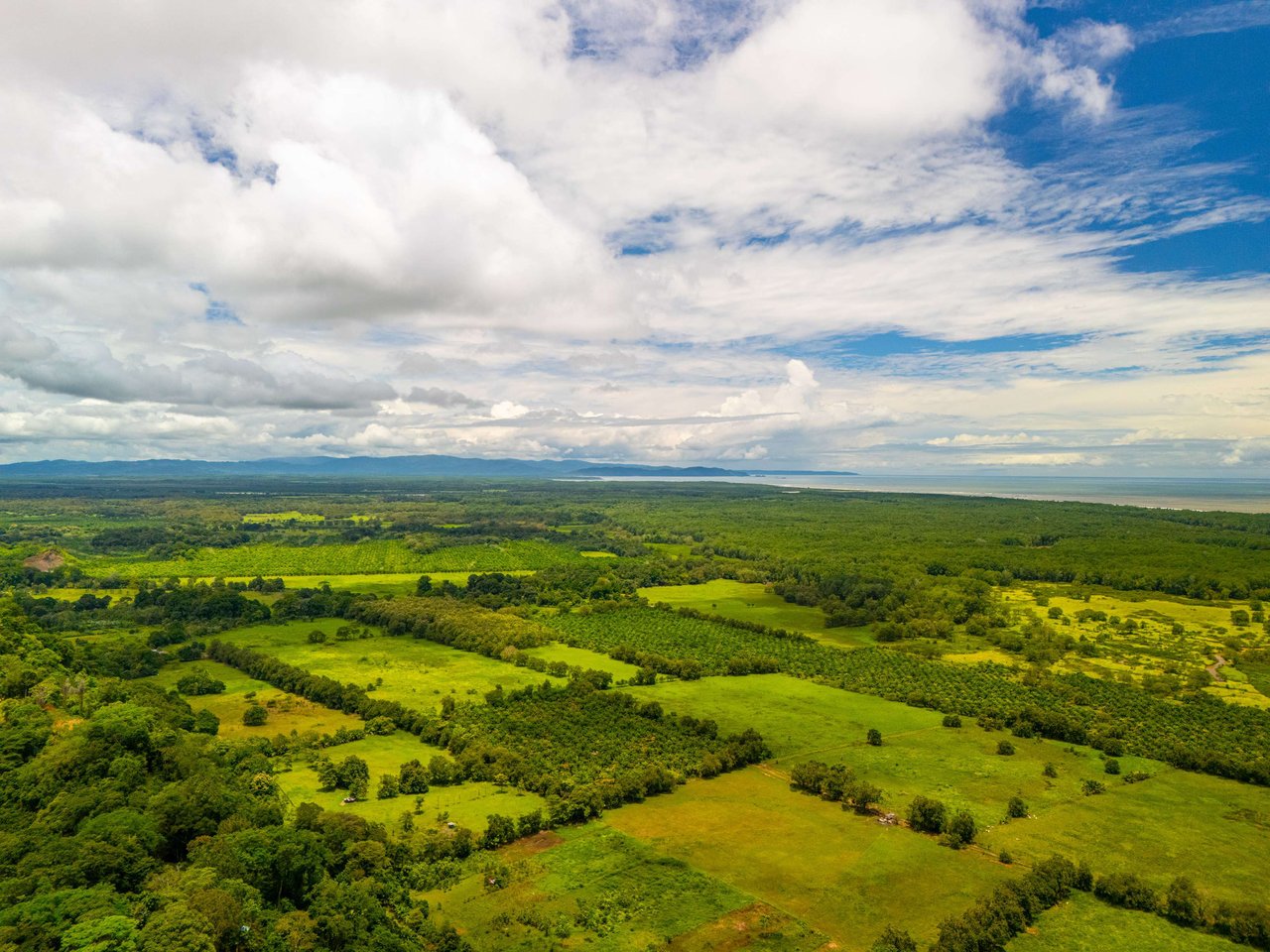 Tres Rios Stunning Osa Peninsula Ocean View Land, Ready to Build!