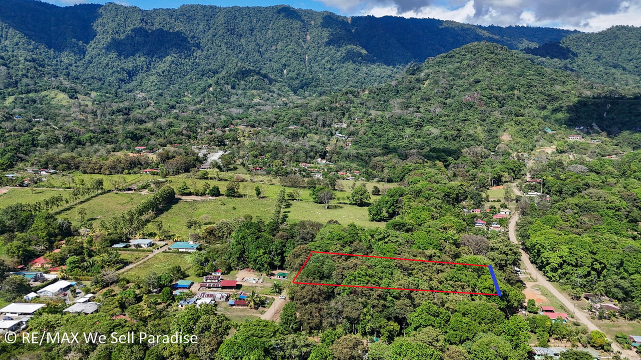 A large jungle-clad piece of land with mountain views, internal creek, and river frontage.