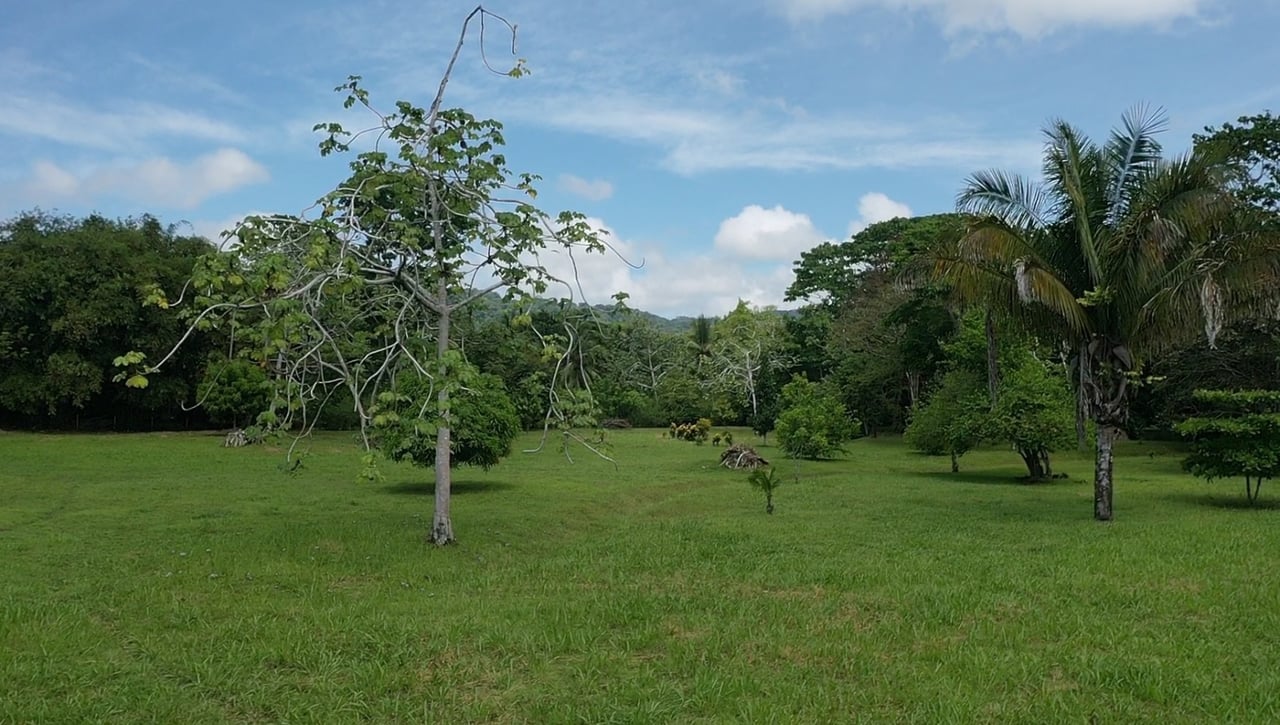 Titled Beachfront Development Land, Osa, Puntarenas