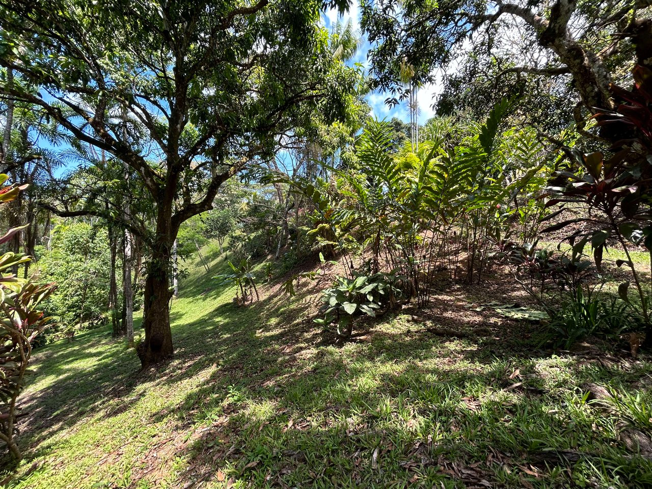 Casa La Luna, Cozy Home in Platanillo on 8 Acres of Land!
