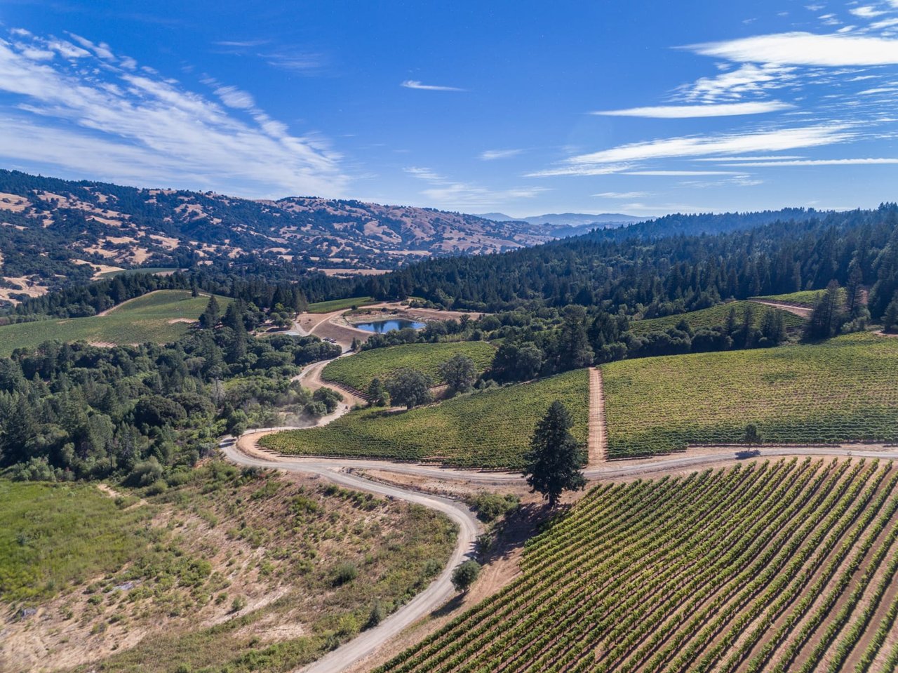 Yorkville Highlands Hillside Vineyard