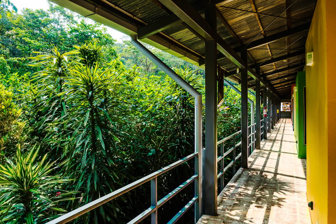 Celeste Mountain Lodge | Mountain Hotel/Resort/Hostel For Sale!